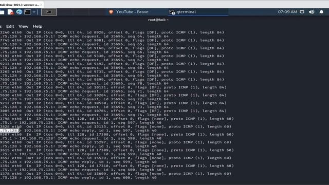Checking Network Traffic Using TCPDUMP Command смотреть онлайн