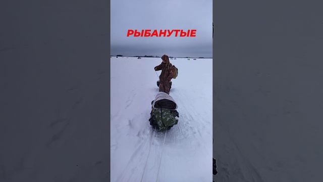 Оно Это Надо? смотреть онлайн