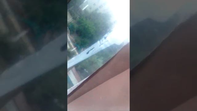 климат Крыма в августе сегодня смотреть онлайн