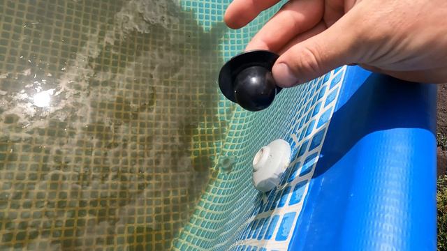 Елена Евсеева