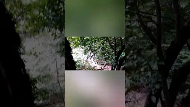 Пещеры Вертикальная, Щель. Хаджохские столбы. Каменный коридор часть 1 смотреть онлайн