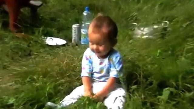 2006 год на даче шашлыки