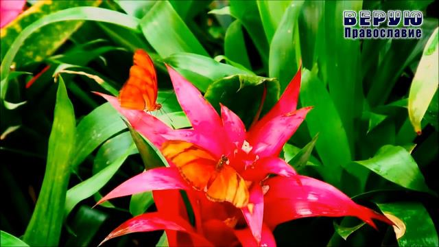 ✞ Искусство Жить: книга Зрелость смотреть онлайн