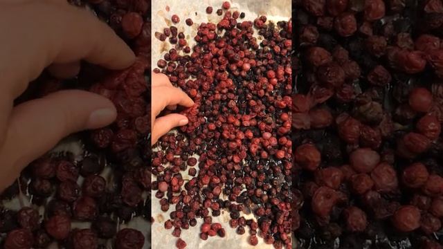 Строительные Параллели