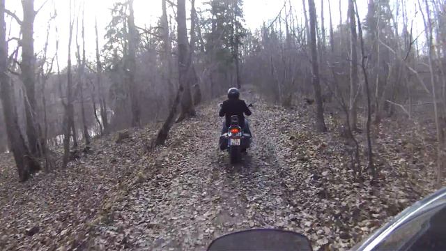 Honda Steed/Shadow and Honda Transalp in forest смотреть онлайн