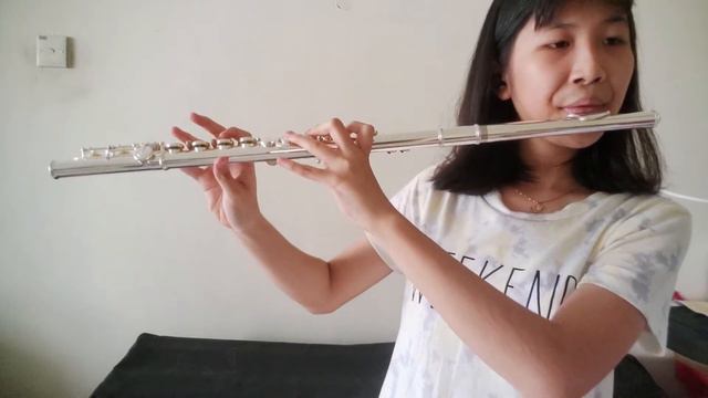 It's a Small World - Flute and Piano (learned the flute for 4 months) смотреть онлайн