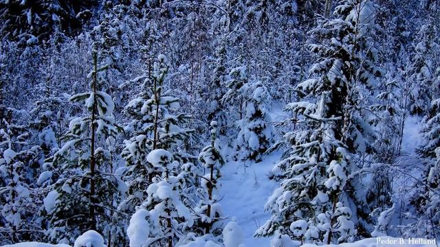 1 Hour of Happy Piano Cello Bells Music Instrumental Christmas Music смотреть онлайн