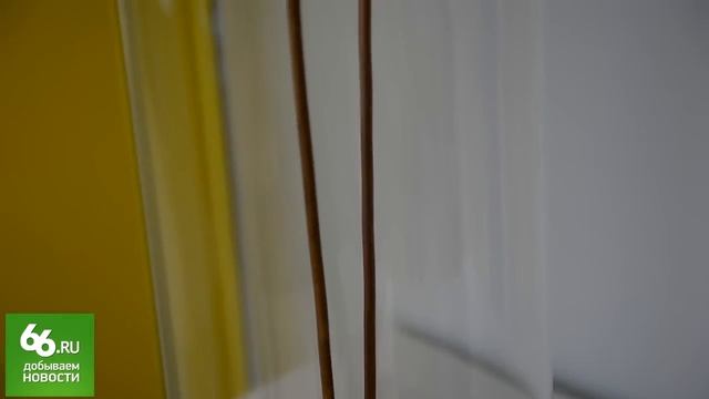 научный парк 