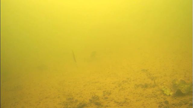 На рыбалку в Бутаковский залив. 04.01.2022 год. смотреть онлайн