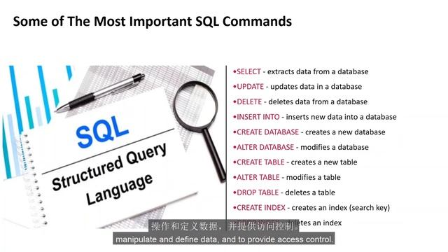 What is a Database? смотреть онлайн