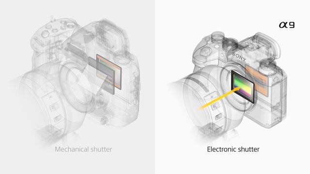 Sony a9 Exmor RS CMOS Image Sensor смотреть онлайн