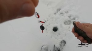 Ловля ОКУНЯ по Первому ЛЬДУ ! Зимняя Рыбалка на БАЛДУ .