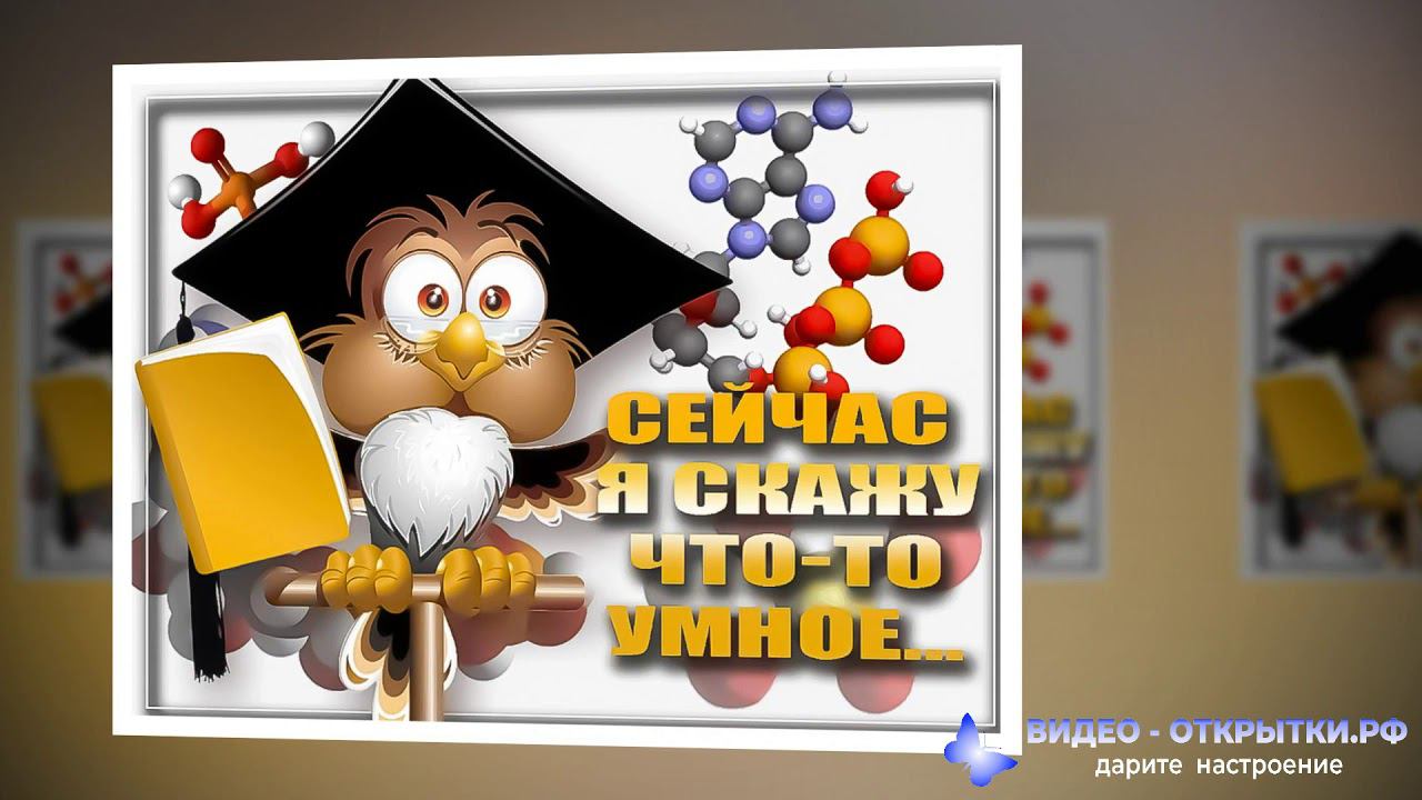 День студента смотреть онлайн