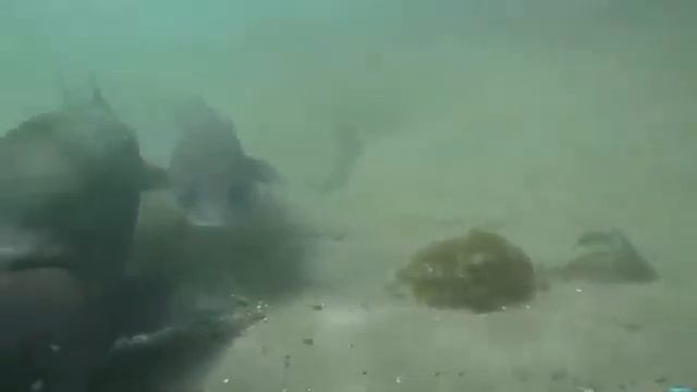 Eyoyo EF43A 20M Fish Finder 4 3  1000TVL Underwater Ice Carp Fishing Camera For Winter Sea Fishing