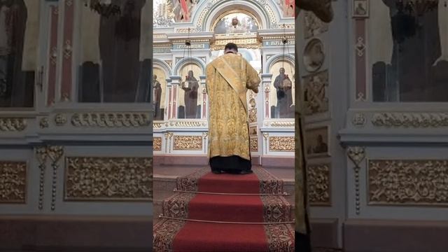 Прямая Трансляция Божественной Литургии 29.11.22 смотреть онлайн