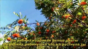 Ой рябина кудрявая
