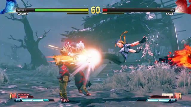 STREET FIGHTER V - CAMMY (Jill) vs KAGE (Asura) - Lv.8 смотреть онлайн