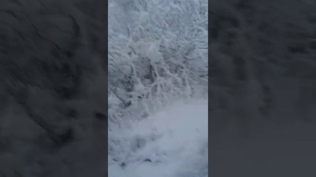 18.02.2021г.г.Сочи Верхний Юрт. смотреть онлайн