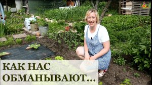 Нас обманывают в супермаркетах! / Руккола или двурядник?