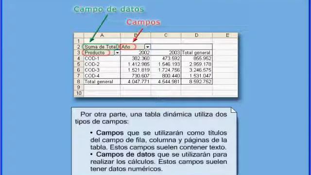 Ejemplo Módulo de Tablas y gráficos curso Excel 2003 смотреть онлайн