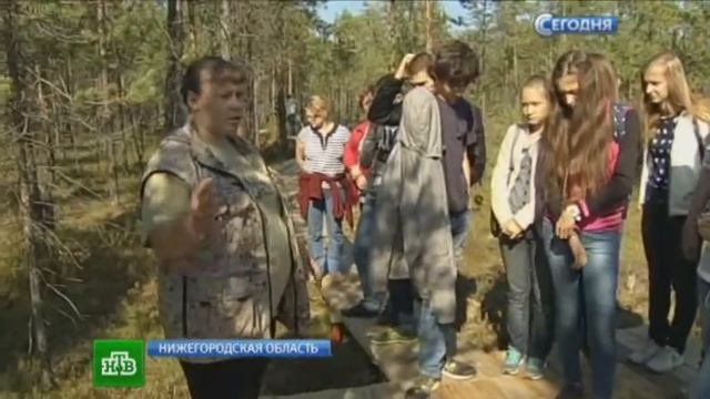 Толпы туристов бродят по нижегородскому болоту в поисках рецептов nobrБабы яги nobr смотреть онлайн