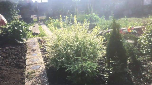 Мое 13.06.21. Выходные прошли плодотворно 👍🌞🍀 смотреть онлайн