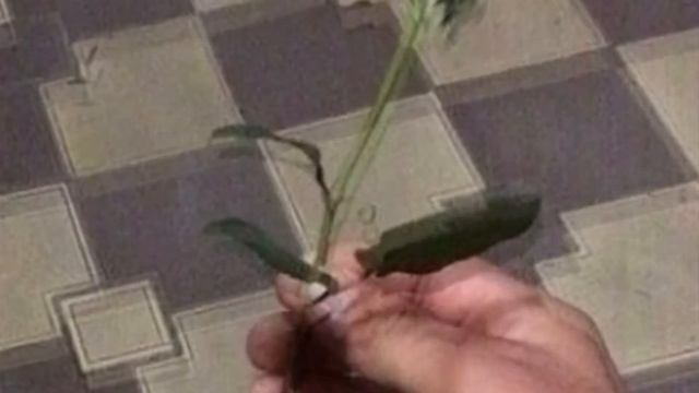 Отпускаю тебя а сердце тихо плачет 🌚🥀 смотреть онлайн