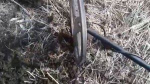 Коп с металлоискателем tx 850