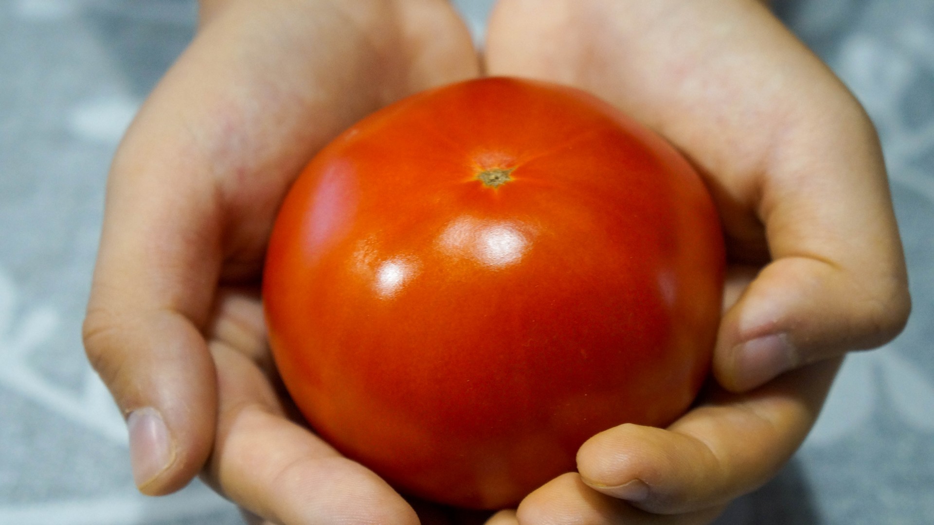 Когда остался последний помидор готовлю из него "Королевский" завтрак за 15 минут! смотреть онлайн