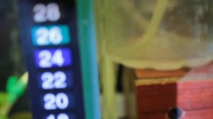 Термометр для аквариума