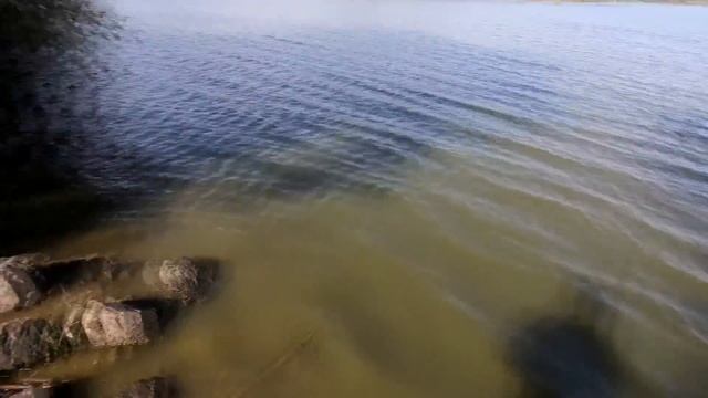 КАК ПОЙМАТЬ МНОГО РЫБЫ - быстро и просто!! смотреть онлайн