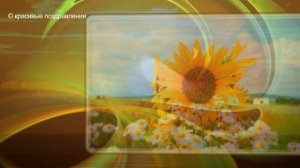 Лето Бесплатный проект и переходы для Proshow Producer