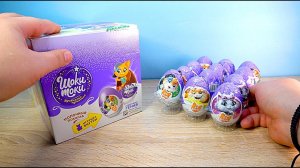 ШОКИ ТОКИ 44 КОТЕНКА