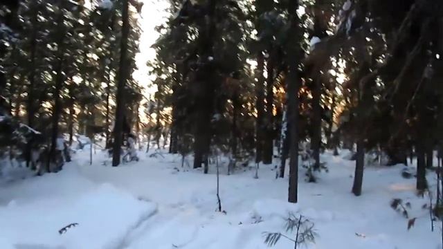 Красоты сказочной тайги и небольшой рассказ о том что происходило за три недели. смотреть онлайн