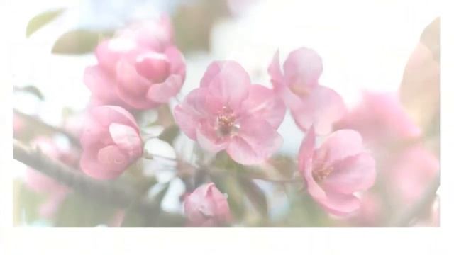 С днем рождения Лариса Ивановна ! смотреть онлайн