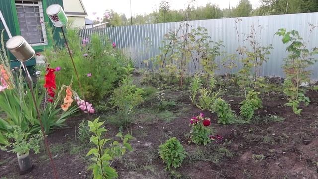 VLOG/Дача,что посадила и просто бла,бла,бла.часть 3 смотреть онлайн