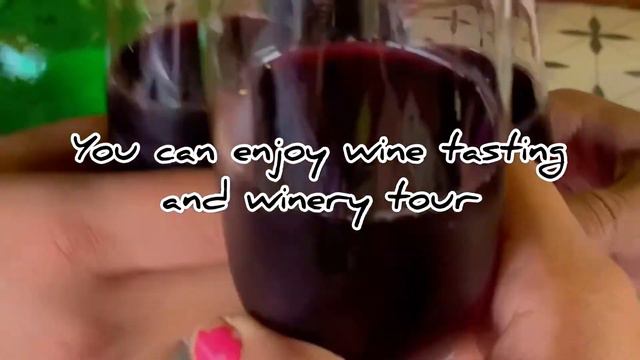 Soma Vine Village, Nashik || Perfect place to celebrate your special day❣️ смотреть онлайн