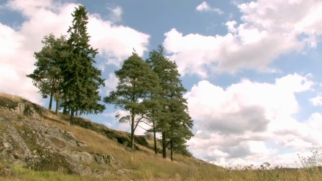 Йога дона Хуана Матуса и других индейских духовных Вождей. Часть - 1 смотреть онлайн