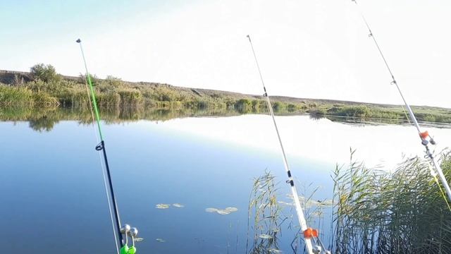 удилище для ловли на донку