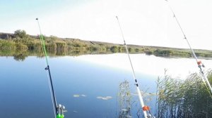 удилище для ловли на донку