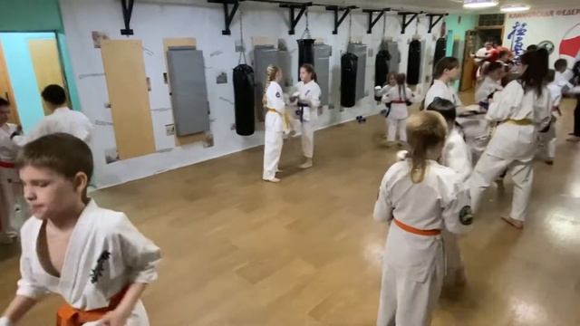 Тренировка 19 мая 2022 года. Киокусинкай каратэ в Климовске на Западной 12. смотреть онлайн