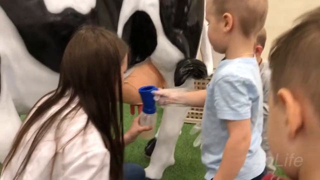 Совхоз имени Ленина. Leo в земляничном городе. Спасибо Грудинину. смотреть онлайн