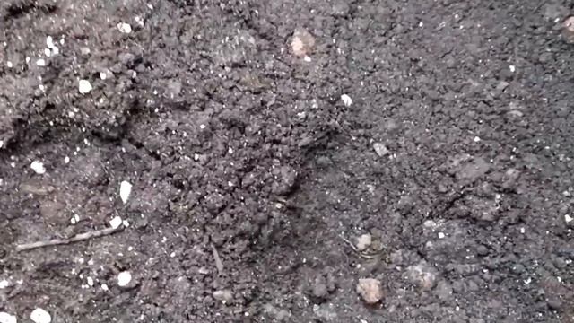 Стройка Видеоглазом