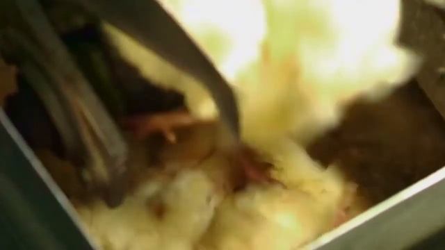 Обратная сторона покупок. Твой выбор. смотреть онлайн