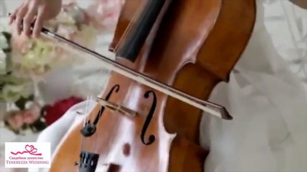 Струнный квартет на свадьбу