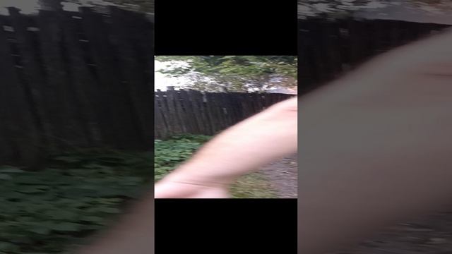 Ребят я настоящий Cat_aer  я просто позвонил в 911 и всë потушили пожар это было страшно очень