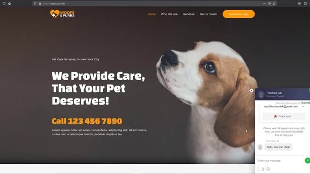 Setup Live Chat in Your Website - Sinhala смотреть онлайн