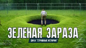 Зеленая Зараза. СТРАШНАЯ ИСТОРИЯ работника библиотеки.