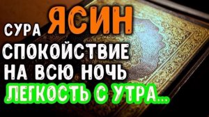 Красивое чтение Корана Сура Ясин. Спокойствие на всю Ночь | Мишари Рашид