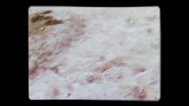 Как научить собаку команде "РЯДОМ!!!" смотреть онлайн